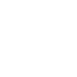 Blauplan Logo